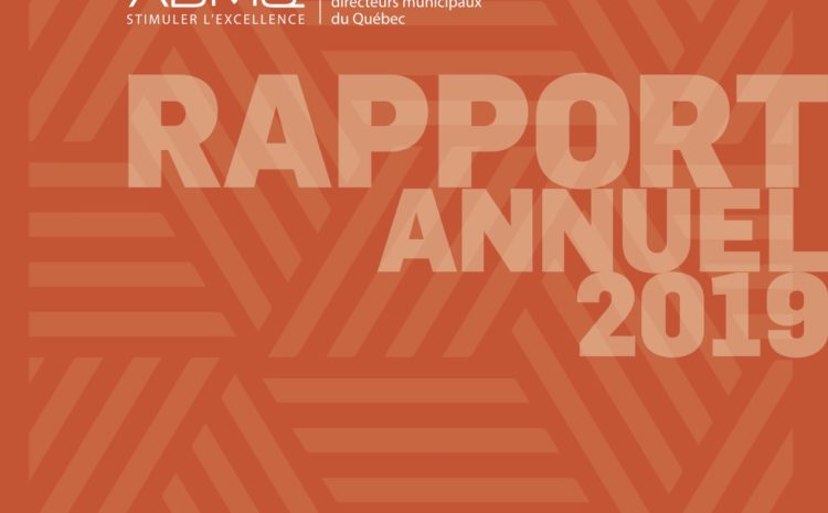  Rapport annuel – 2019