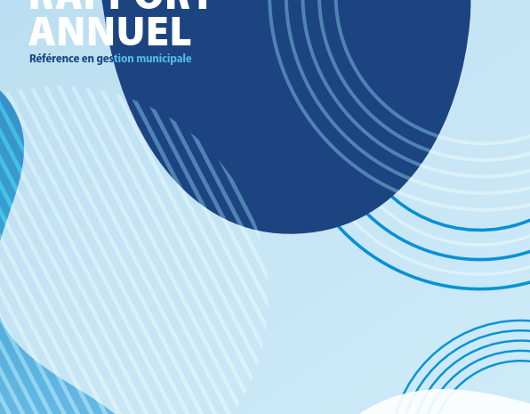  Rapport annuel – 2020